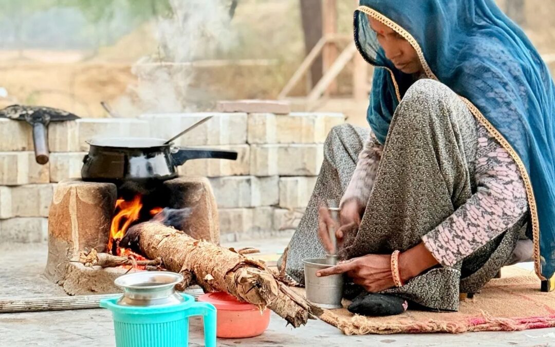 SoilDAO: Seeding a New Economy — Rooted in Soil