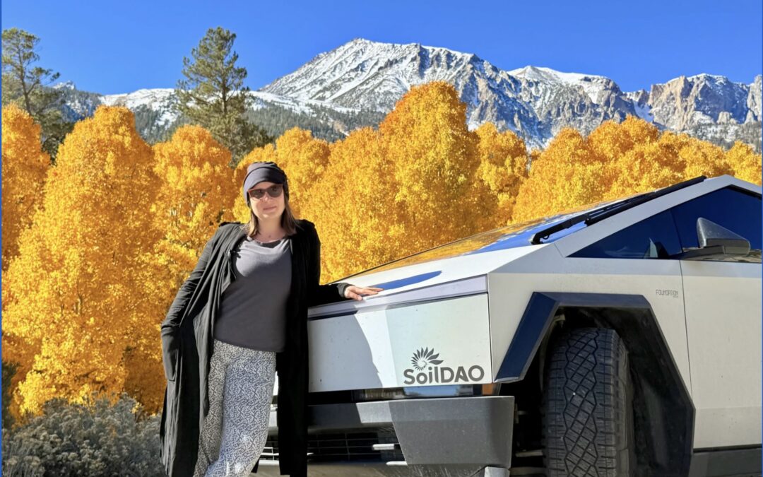 Love Letter to California