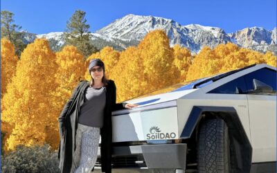 A Love Letter to California